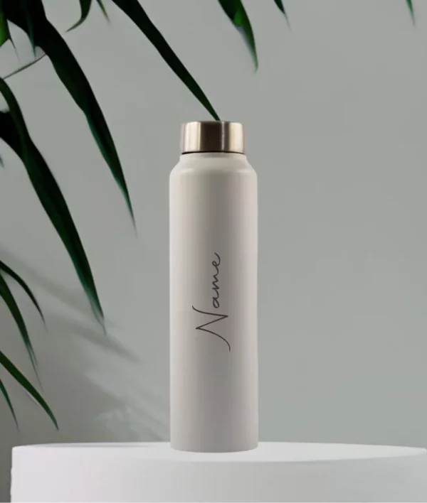 Stainless Steel Water Bottle