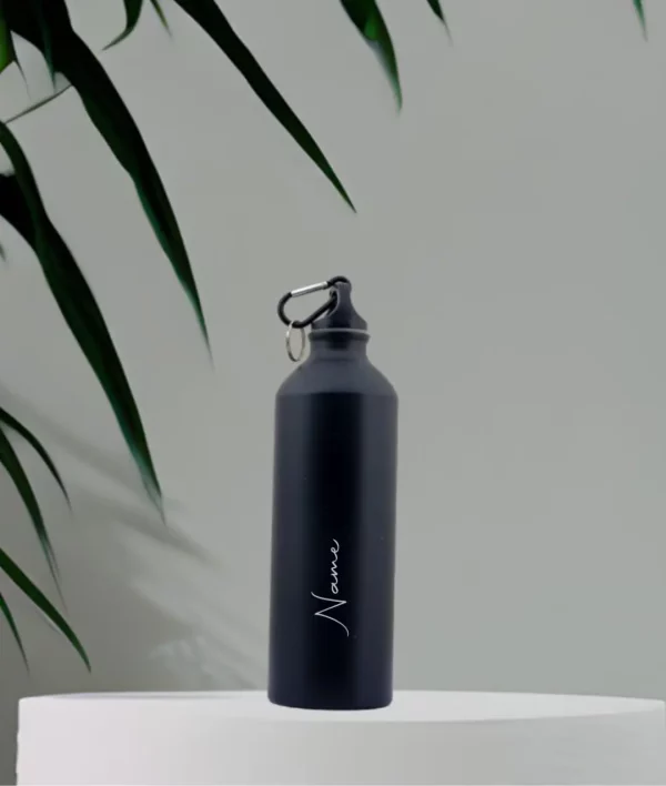 Stainless Steel water Bottle With Clip