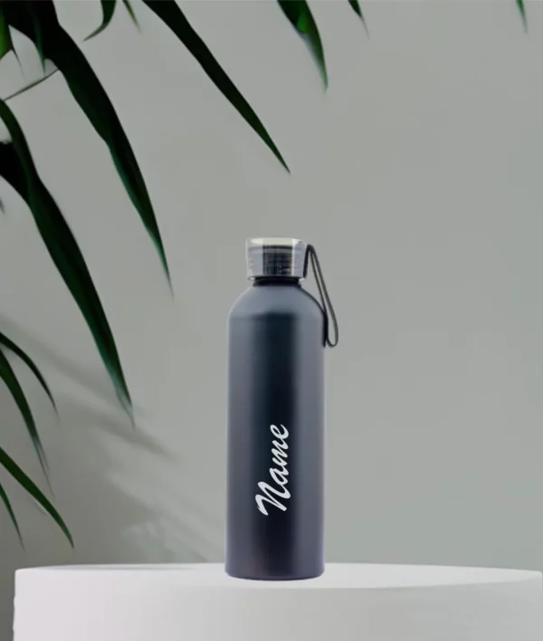 Thermosteel Bottle