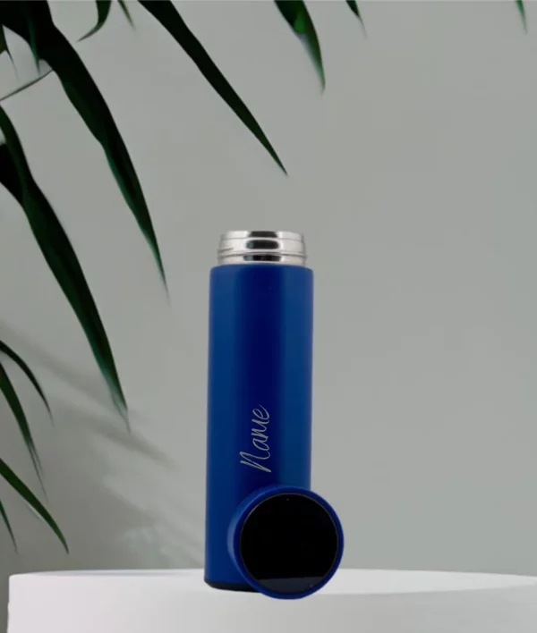 Temprature Water Bottle